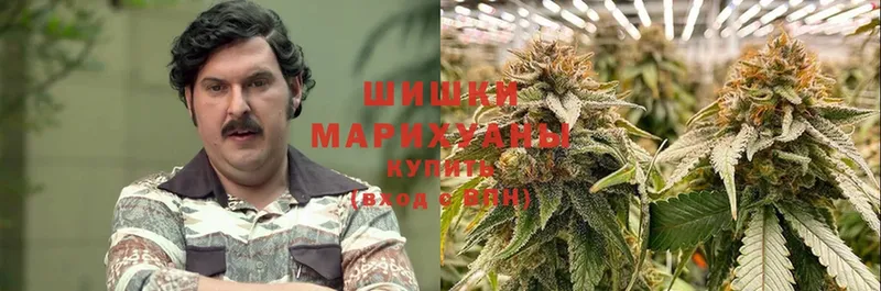 Шишки марихуана OG Kush  Гулькевичи 